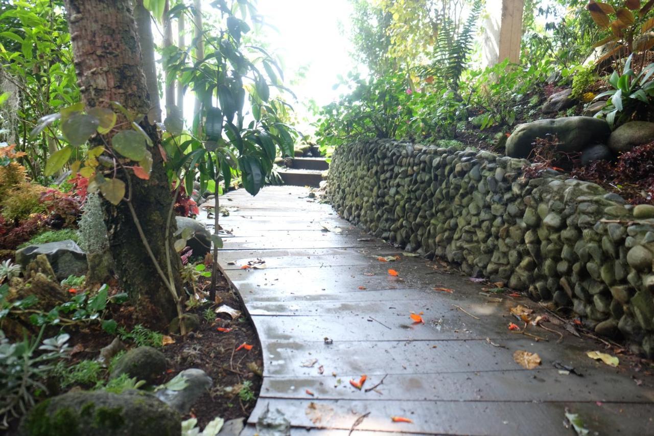 Vila Casa Nativo Jardín Exteriér fotografie