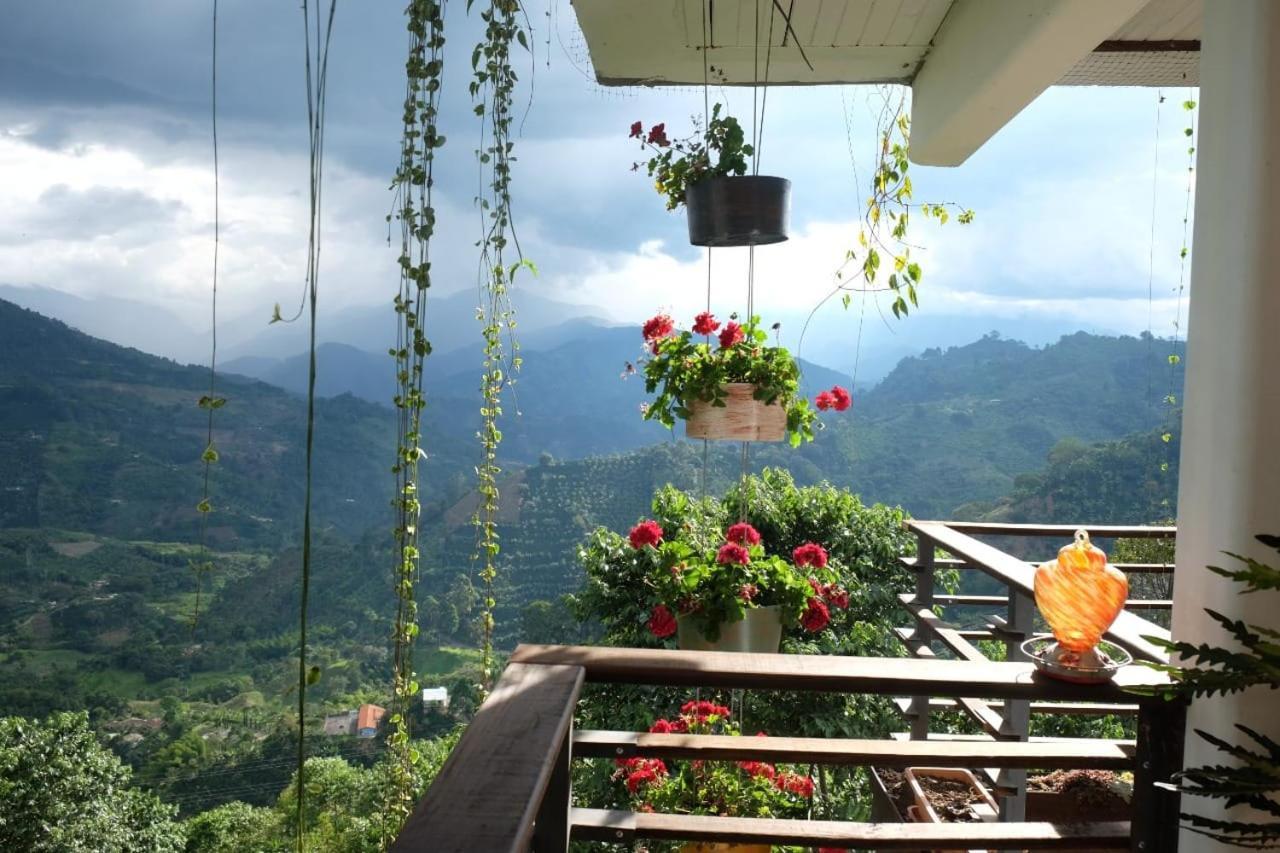 Vila Casa Nativo Jardín Exteriér fotografie