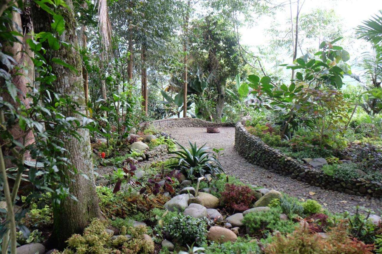Vila Casa Nativo Jardín Exteriér fotografie