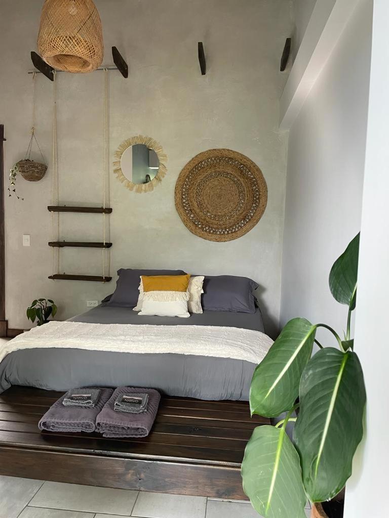Vila Casa Nativo Jardín Exteriér fotografie